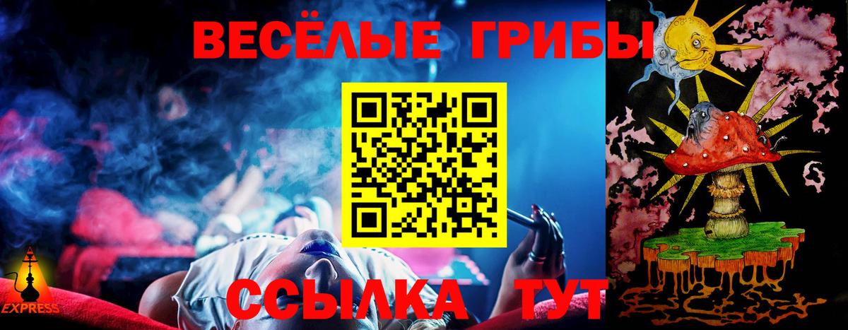 Псилоцибиновые грибы Psilocybine cubensis  Вход с VPN  Гуково 