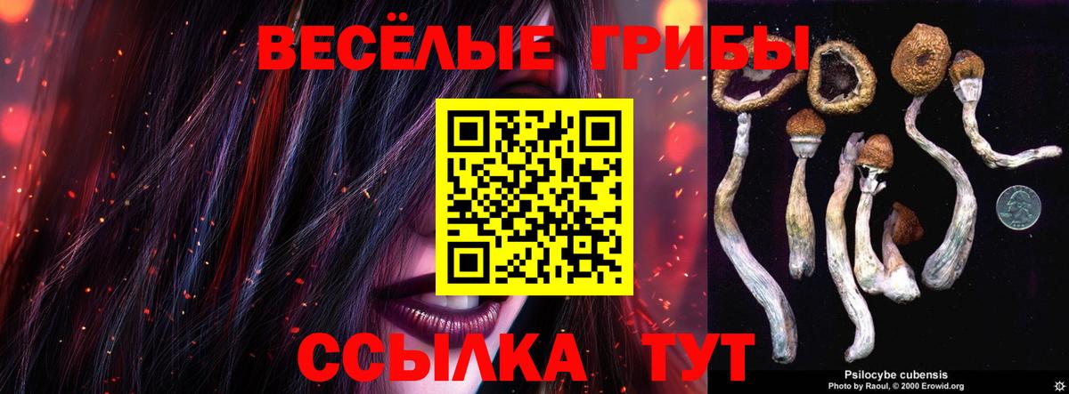 Галлюциногенные грибы GOLDEN TEACHER Гуково