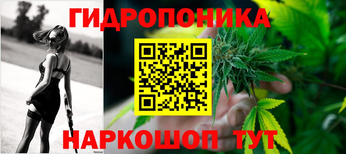 Каннабис сатива Гуково